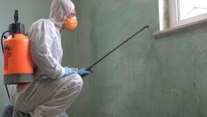 Mold Remediation